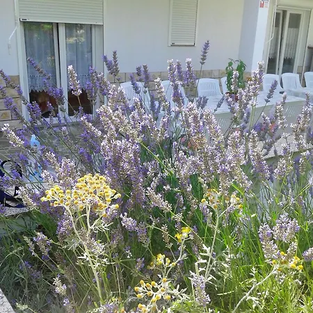 Spacious In With Private Garden *