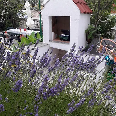 Apartment Spacious In With Private Garden