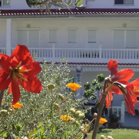 Spacious In With Private Garden *